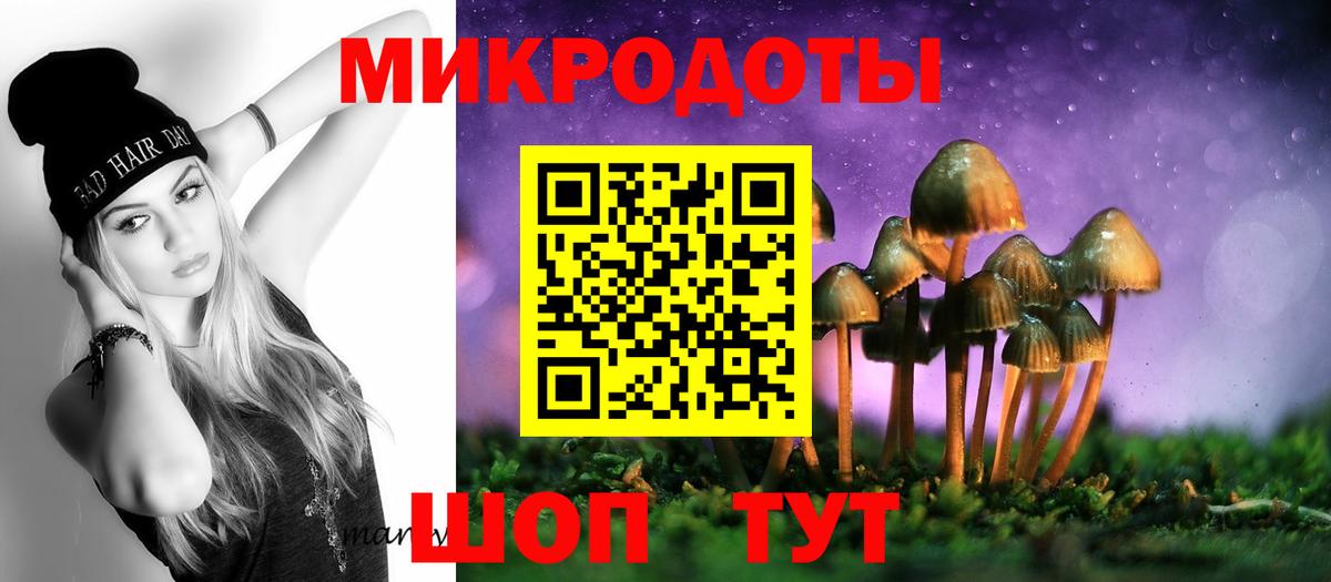 Галлюциногенные грибы мицелий Соль-Илецк