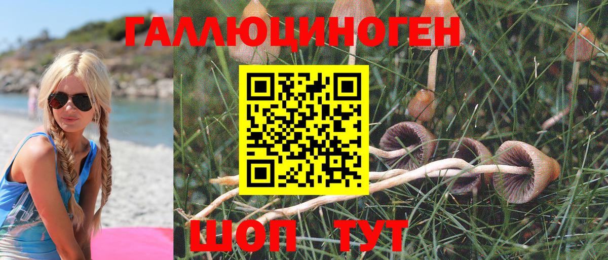 Галлюциногенные грибы MAGIC MUSHROOMS  Вход с VPN  Псилоцибиновые грибы мицелий  Соль-Илецк 